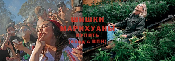 тгк Богородск