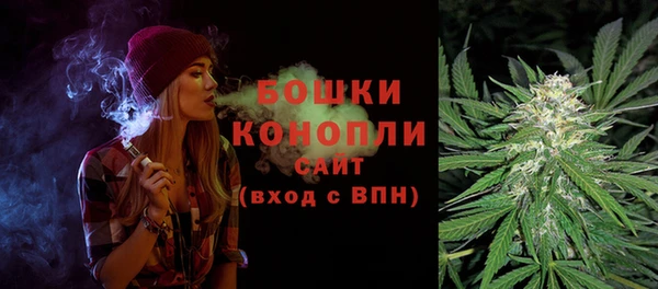 тгк Богородск