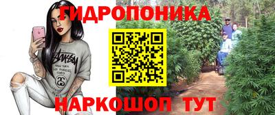 крисы Волжск